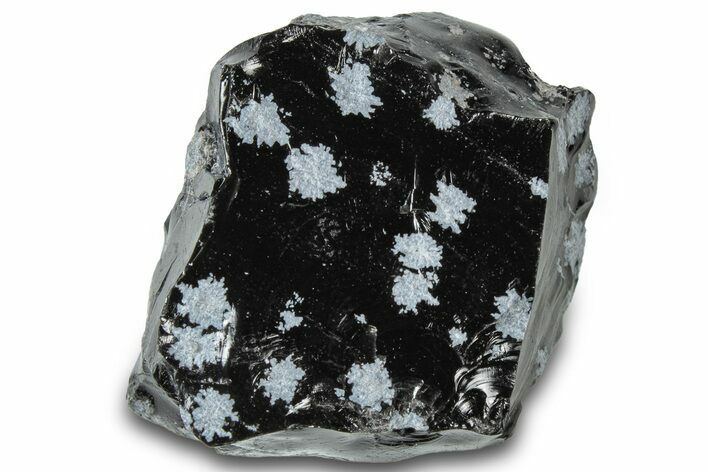Snowflake Obsidian Section - Utah #300240